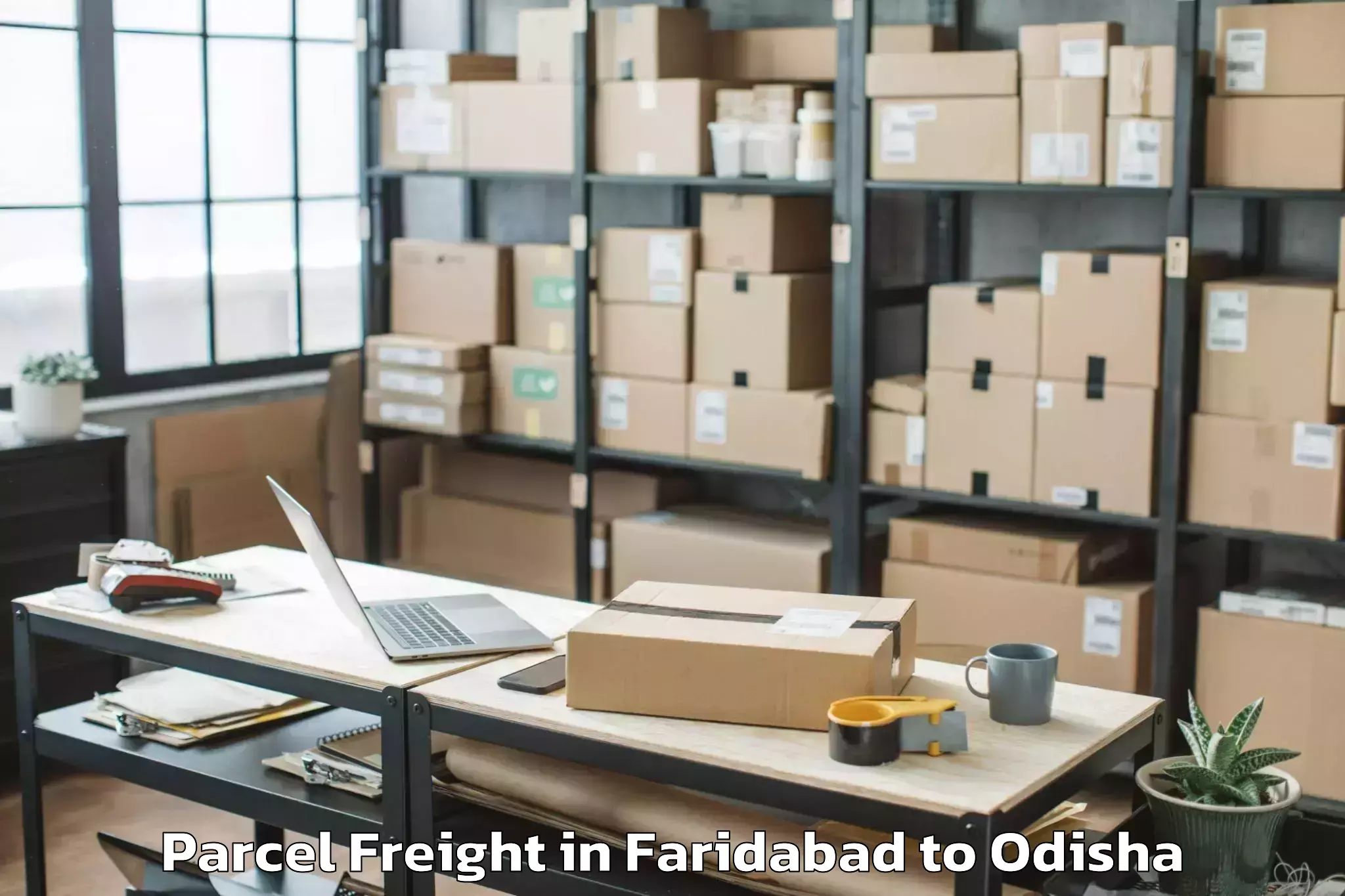 Faridabad to Patapur Parcel Freight